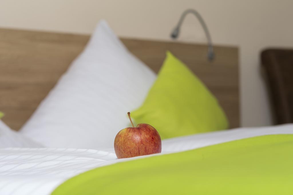 Hotel Gasthof Sonne Fridingen an der Donau Εξωτερικό φωτογραφία